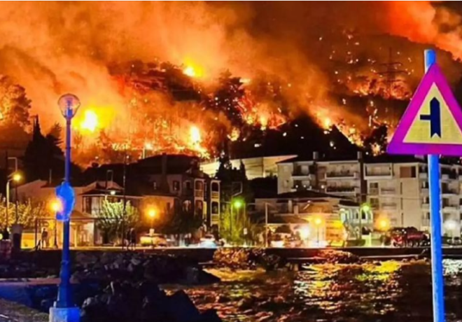 Ανακοίνωση του Δήμου Ξυλοκάστρου – Ευρωστίνης για τις ζημιές στις καλλιέργειες και την κτηνοτροφία